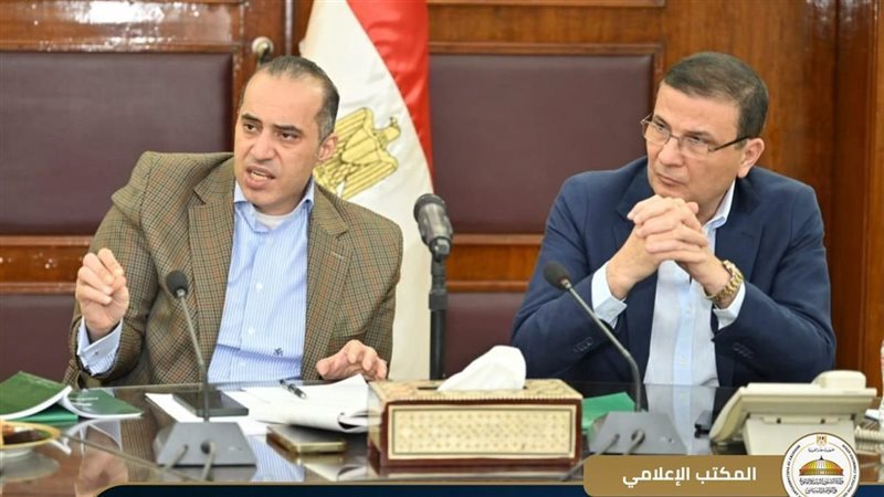 المستشار محمود فوزي