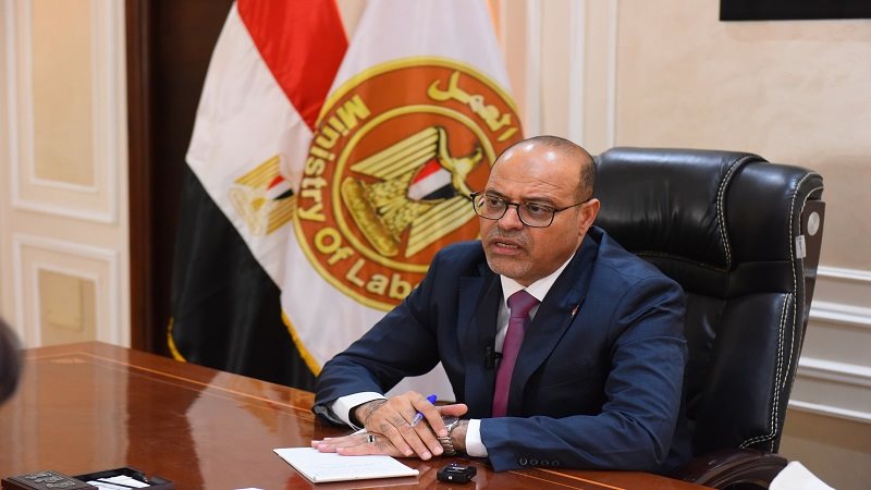 وزير العمل - محمد