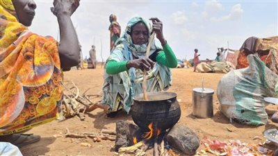  الاتجاه الخطر: ما دلالات بناء السواتر الترابية حول الفاشر السودانية؟ 