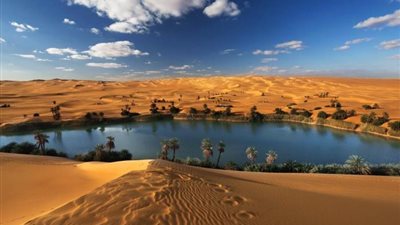 محمد نبيل: مصر قادرة على استقطاب 15 مليون سائح علاجي سنويًا