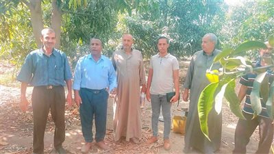 زراعة الإسماعيلية تواصل جهودها المكثفة لمكافحة ذبابة الفاكهة والخوخ