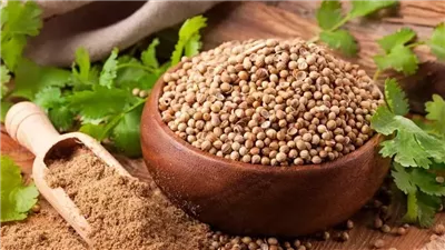 الكزبرة الناشفة.. سر الصحة والجمال الطبيعي في مطبخك 