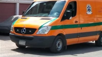 خلاف منزلي يتحول لمأساة.. سيدة تطعن زوجها بالمحلة الكبرى