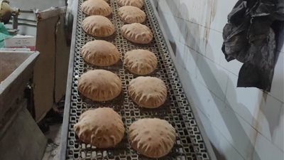 تموين البحيرة: تحرير 2247 محضر تمويني لمخابز بلدية وأسواق مخالفة خلال أغسطس