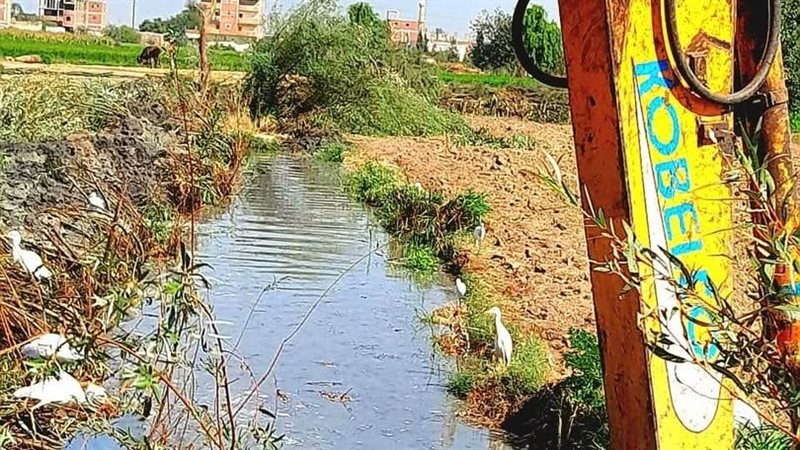 مديرية الزراعة بالإسماعيلية