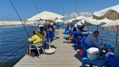 انتهاء فاعليات مهرجان مسابقة الصيد بنادي الصيد بالإسكندرية 