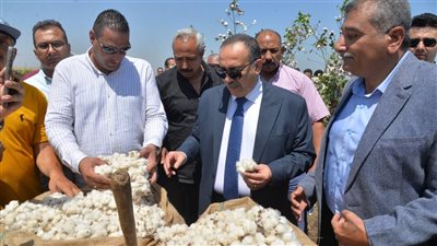 محافظ أسيوط يفتتح موسم جني القطن لعام 2025 ويؤكد دعم كامل للفلاح  