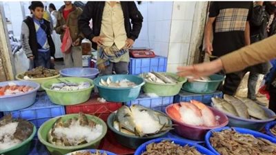 خبير اقتصادي: بيع الأسماك مباشرة من المزارع للمستهلك غير واقعي