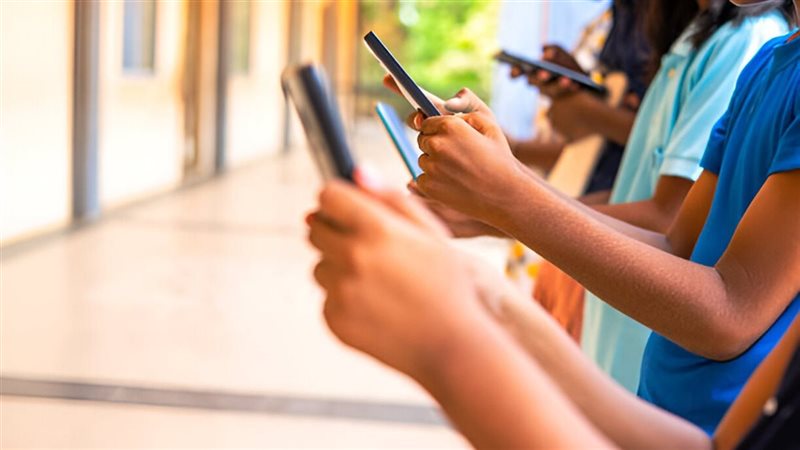 قانون السلامة على