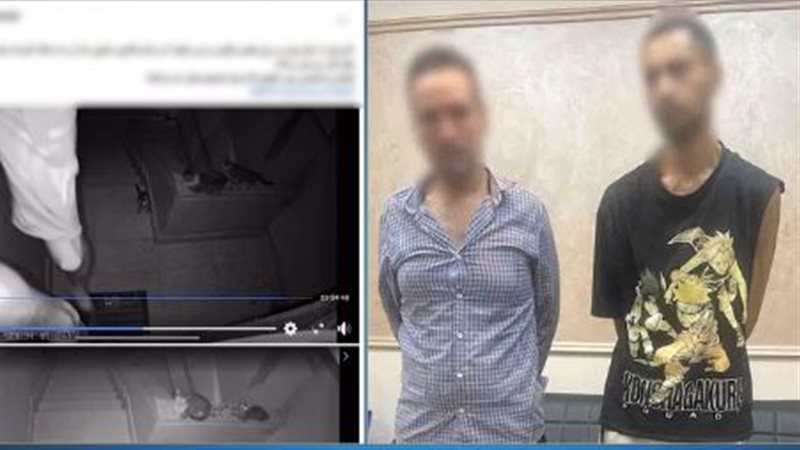 المتهمان