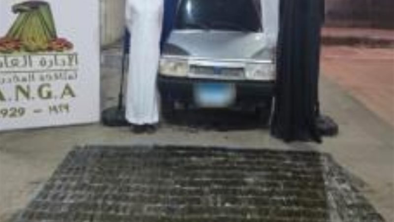 المواد المخدرة المضبوطة