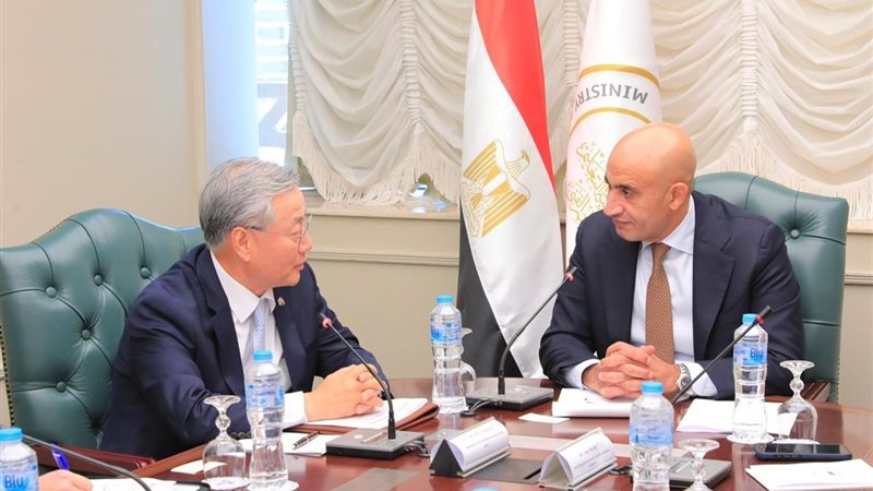 محمد عبد اللطيف وكيم