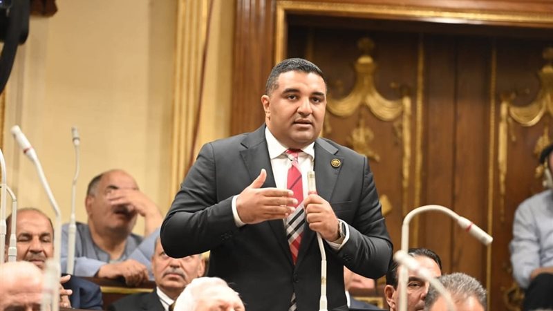 النائب محمود عصام