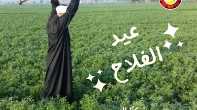 نموذج للكفاح والجدية.. محافظ البحيرة تهنئ مزارعوا البحيرة بعيد الفلاح