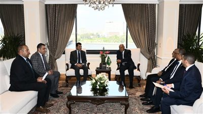 وزير الشباب والرياضة المصري يلتقي أبو الغيط دعماً للعمل العربي المشترك