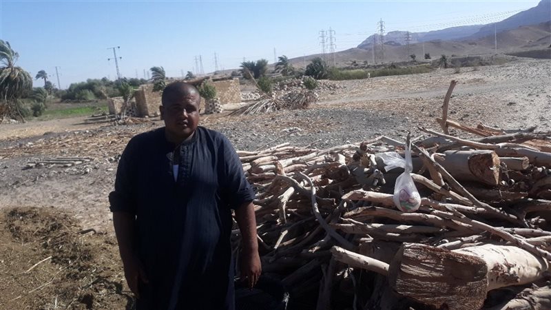 مكامير الفحم