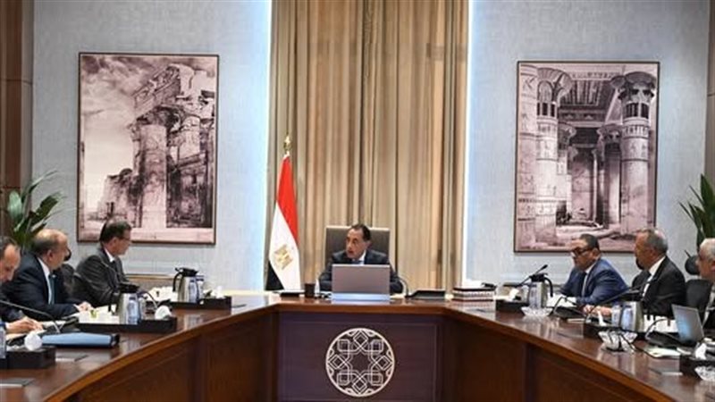 رئيس الوزراء يستعرض