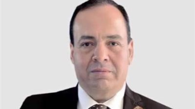 قيادي بـ«حماة الوطن» يشيد بكلمة السيسي في قمة شرم الشيخ: تعكس رؤية حكيمة 