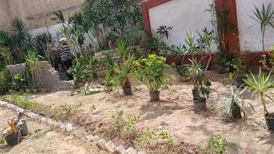 إستعدادا لإستقبال العام الدراسي..مدارس البحيرة تتجمل وتتزين 