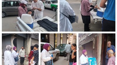 الطب البيطري بالبحيرة: تحصين الكلاب الحرة في إطار خطة مكافحة السعار