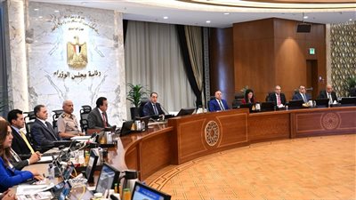 مجلس الوزراء: تخصيص 343 فداناً للتنمية الصناعية ببرج العرب