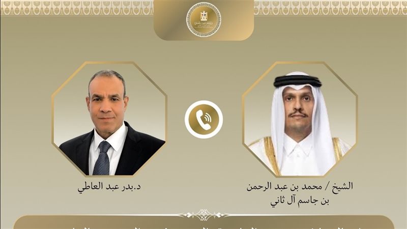 وزيرا خارجية مصر