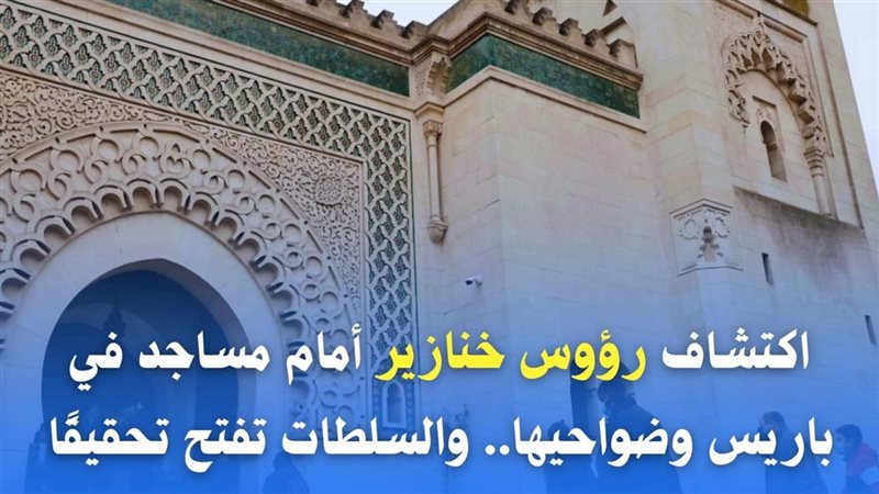 مرصد الأزهر يدين