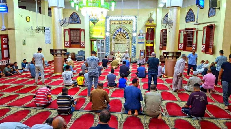 80 ندوة علمية بالدقهلية