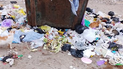 أكوام القمامة تثير غضب أهالي الأعصر بدمياط وتهدد صحتهم اليومية