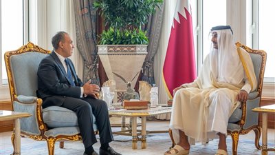 عبد العاطي يؤكد تضامن مصر التام إلى جانب قطر بعد الضربة الإسرائيلية