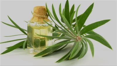 تنظيف فروة الرأس: أهم الطرق الطبيعيةمن الضروري الحفاظ على فروة رأس