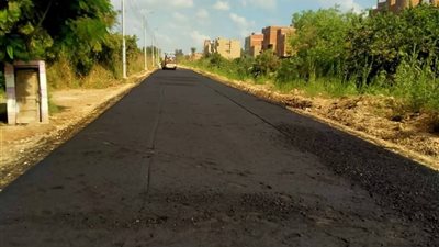 ضمن (حياة كريمة).. استكمال رصف طريق كفر شحاته بدمياط 