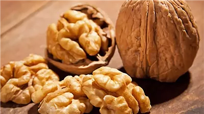 هل أنت معرض لمخاطر عين الجمل؟تعرف على التفاصيل الآن 