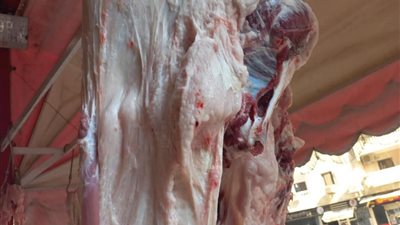 في حملات رقابية.. إعدام 278 كمواد غذائية و تحرير77 محضرا متنوعا بتموين السويس 