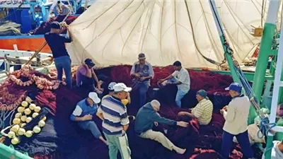 انطلاق موسم الصيد في خليج السويس وسوح 82 مركباً« شانشولا» 