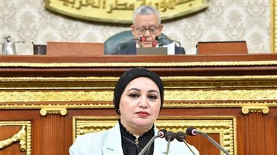 القوى العاملة بالنواب تثمن موقف مصر الرافض لاعتداءات الاحتلال ضد دولة قطر