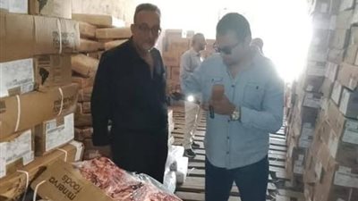 قبل بيعها للمواطنين.. ضبط 36 طن سمك ماكريل وكبدة فاسدة في البحيرة