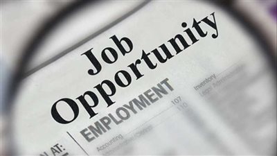 تفاصيل وظائف الهيئة العامة للموانئ البرية 2025.. تعرف على الشروط الآن 