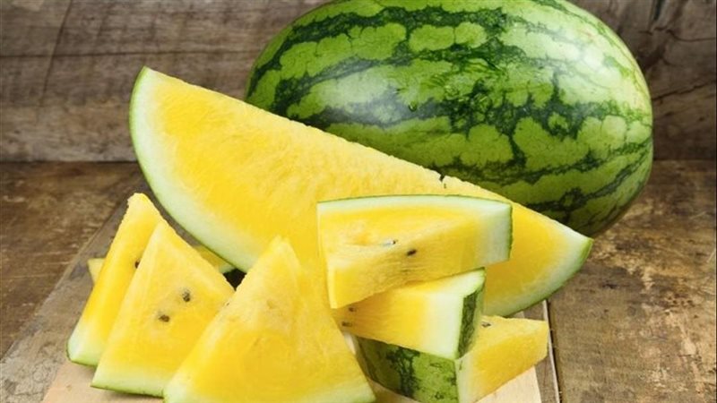 البطيخ الأصفر