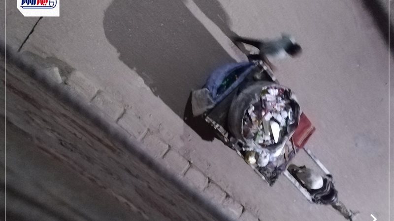 قنا..عمال نبش القمامة