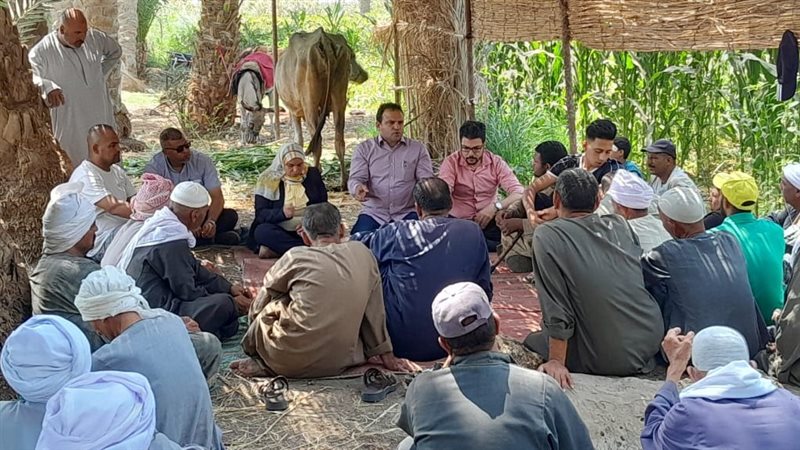 الزراعات التعاقدية