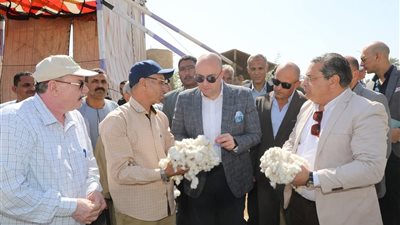 بدء استقبال توريد القطن بمحافظة بنى سويف بنى سويف 