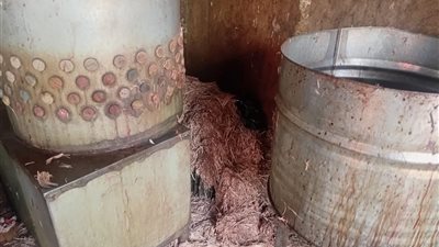 تحرير 28 محضر للاعلان عن تخفيضات وهمية وضبط مواد بترولية وغذائية مدعمة باسواق 