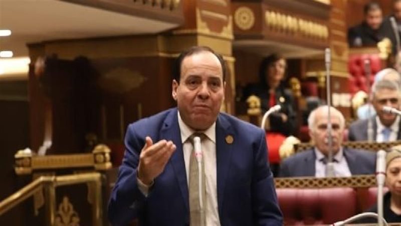 أشرف أبو النصر