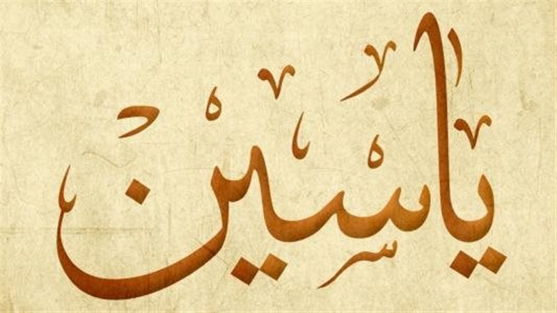 هل ياسين من أسماء