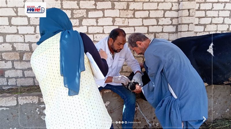 تحصين الماشية