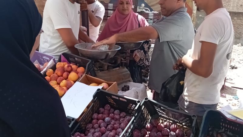 جانب من الحملة