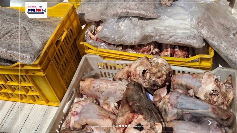 المضبوطات