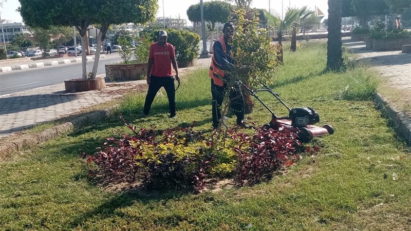 جهاز التطوير والتجميل