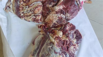 171 محضرًا في حملات تموينية بأسيوط بسبب مخالفات المخابز واستهلاك السلع المدعمة